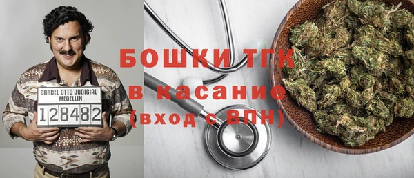 хмурый Абаза