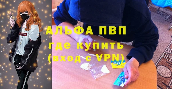 хмурый Абаза