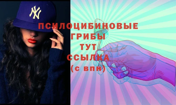 хмурый Абаза