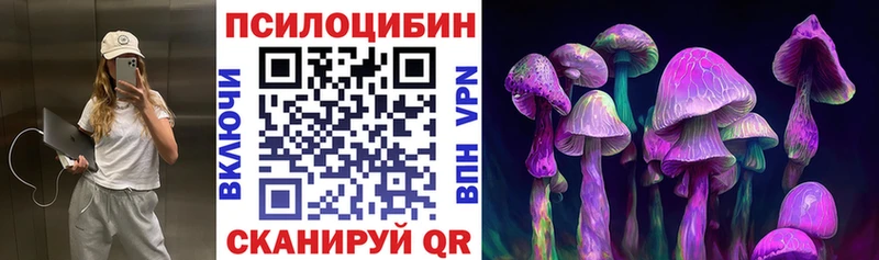 магазин продажи   Ак-Довурак  Галлюциногенные грибы Cubensis 